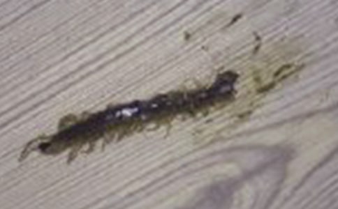 ������ߡ�����w���̰�