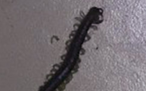 ��򼸂(j��ng)�ߴ���w����(y��u)��̰�