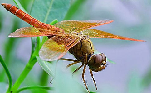 ���ѵ��^����ӛ3ƪ