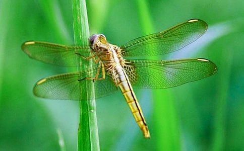 �аࡶ����ͣһ�����ĿƌW�̰��OӋ