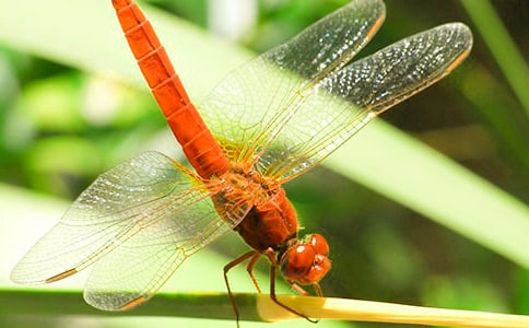 �����^����ӛ3ƪ