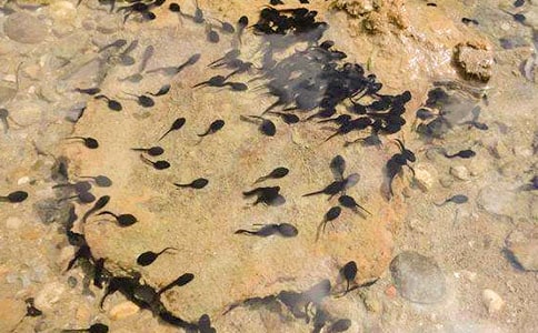 �^���������