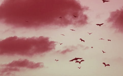 ���������x��з��� 