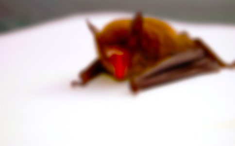 �P(gu��n)�����������