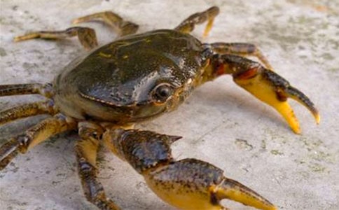 �з����200�� �茑�з��