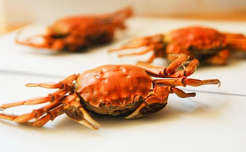 螃蟹觀察日記(精選20篇)