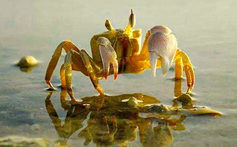 �з�^����ӛ15ƪ