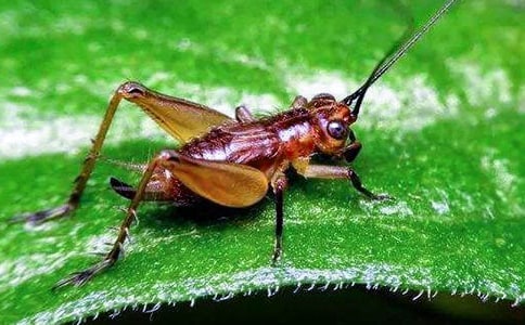 �^������ӛ��ͨ��7ƪ��