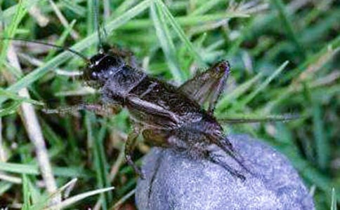 ���^����ӛ8ƪ