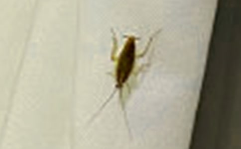 ���µ�����������