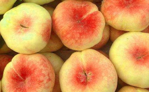 蟠桃園一游作文