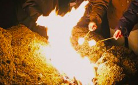 篝火晚會(huì)作文