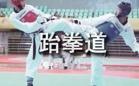 我愛跆拳道作文750字