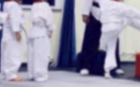 跆拳道協(xié)會2011年上半學(xué)期工作計劃