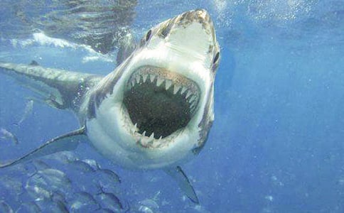 �P(gu��n)�����~�����ġ����á�