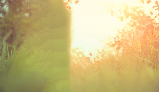 �� ��Ψ������������