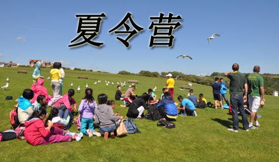 精選夏令營活動方案模板集合八篇