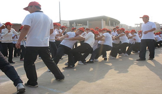 拔河比賽活動方案【必備】